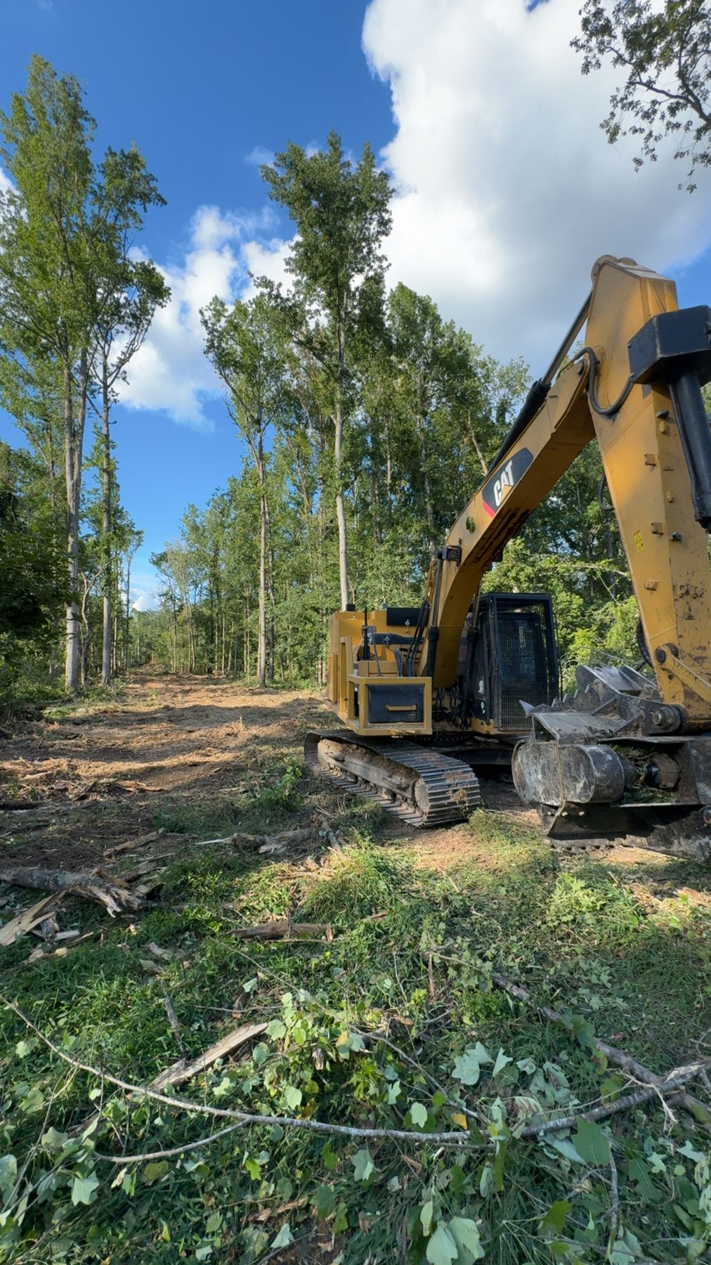 Mulching head raised against the sky